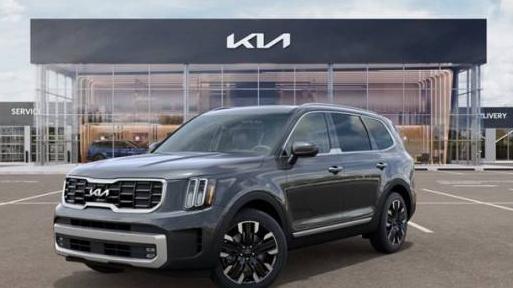 KIA TELLURIDE 2024 5XYP5DGC1RG516902 image