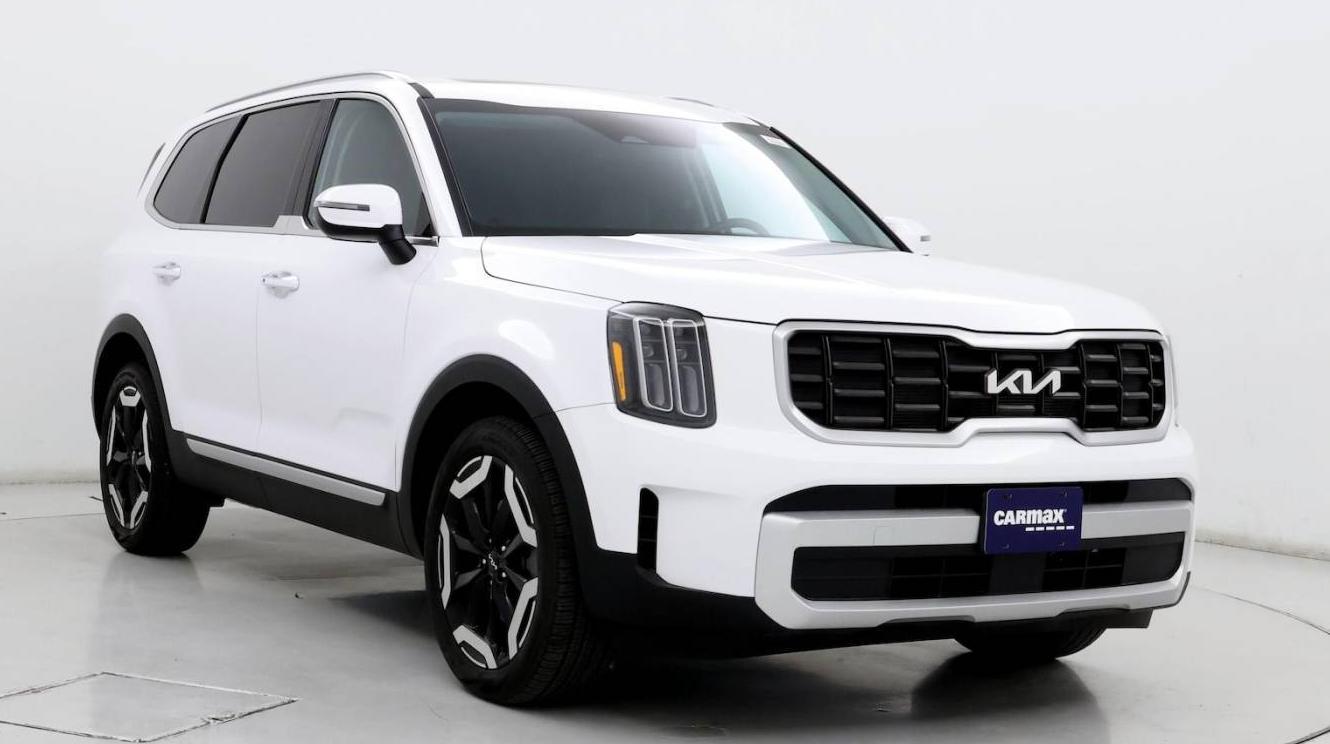 KIA TELLURIDE 2024 5XYP6DGC4RG548482 image