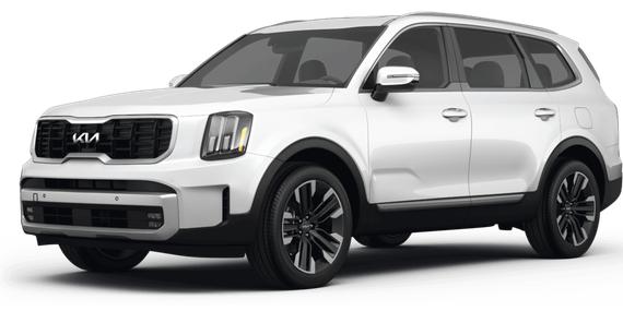 KIA TELLURIDE 2024 5XYP5DGC5RG441282 image