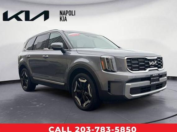 KIA TELLURIDE 2024 5XYP6DGC6RG454233 image