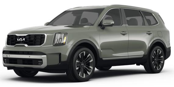 KIA TELLURIDE 2024 5XYP5DGC6RG516975 image