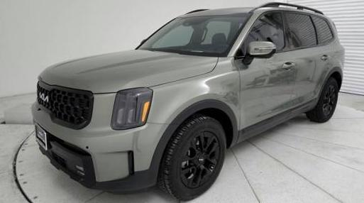 KIA TELLURIDE 2024 5XYP5DGC3RG428532 image