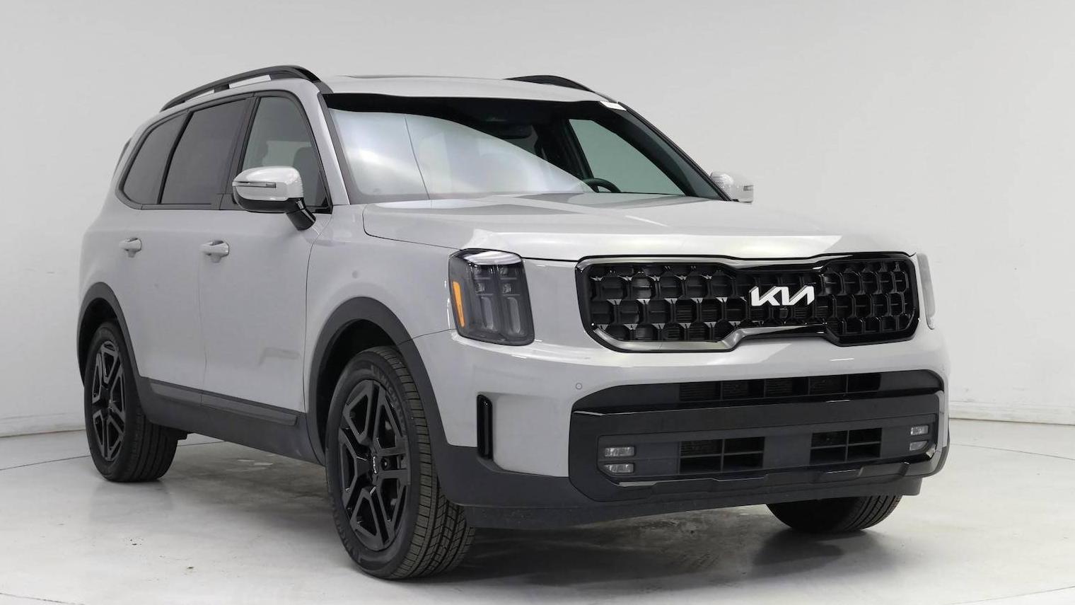 KIA TELLURIDE 2024 5XYP5DGC7RG448122 image