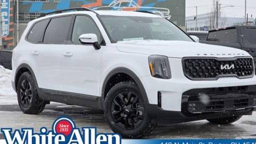 KIA TELLURIDE 2024 5XYP5DGC1RG421532 image