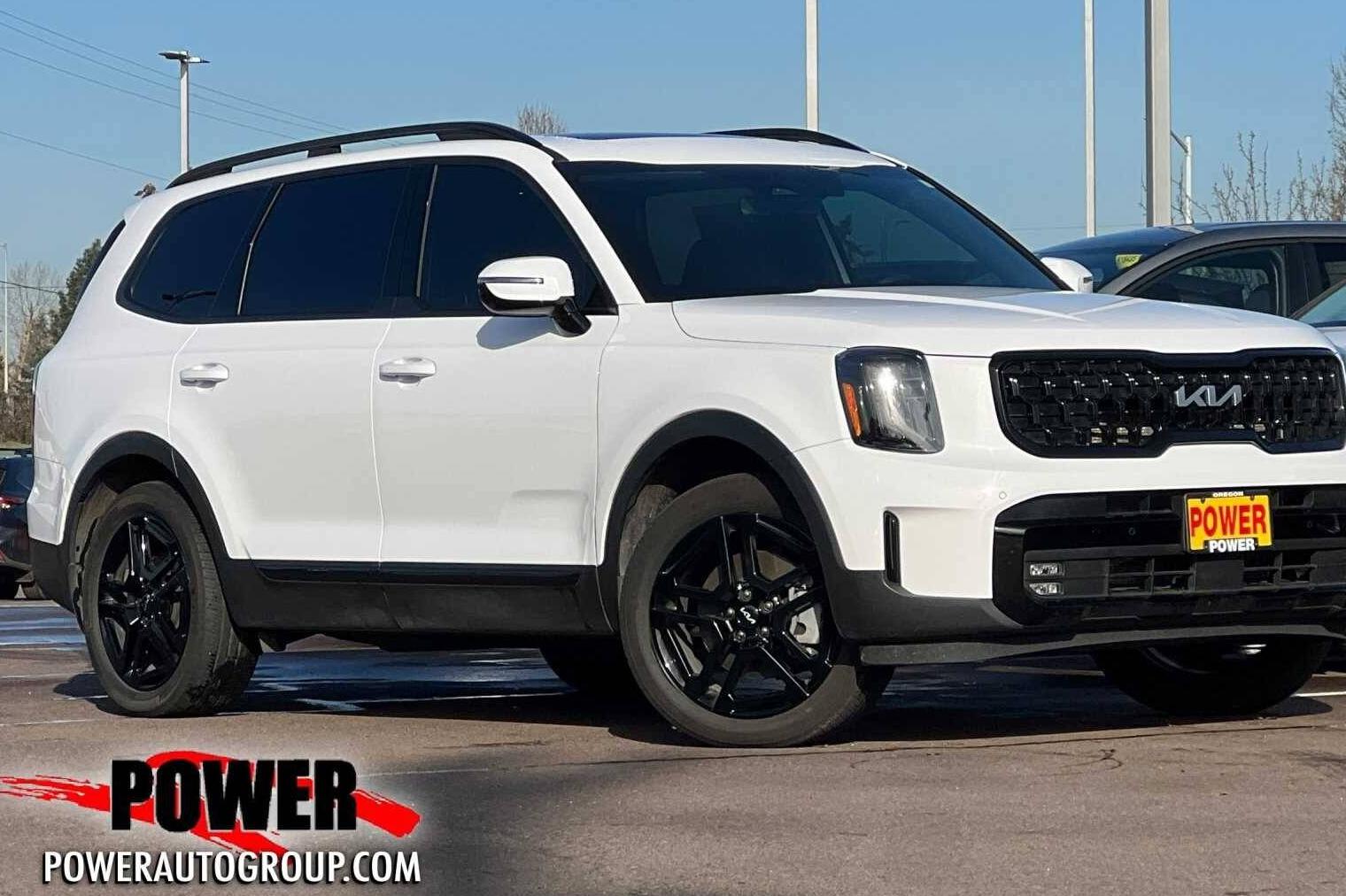 KIA TELLURIDE 2024 5XYP5DGC1RG453400 image