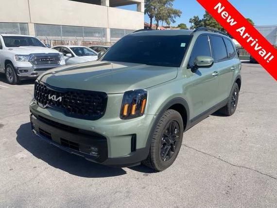 KIA TELLURIDE 2024 5XYP5DGC6RG546235 image