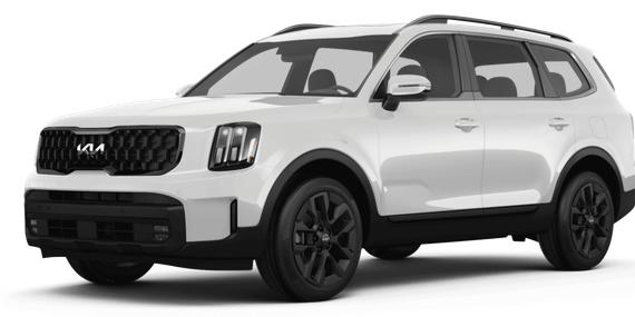 KIA TELLURIDE 2024 5XYP5DGC8RG452115 image