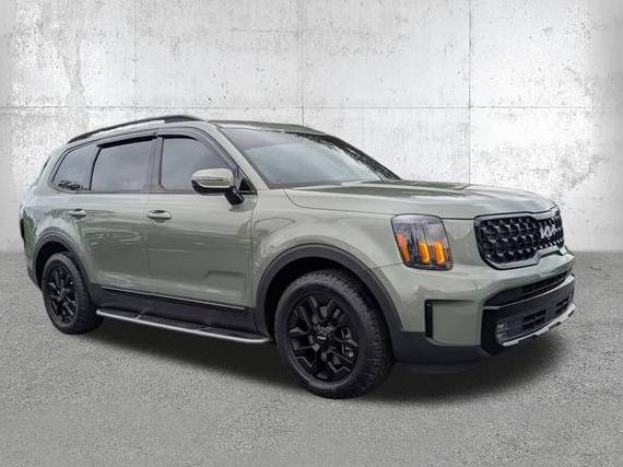 KIA TELLURIDE 2024 5XYP5DGC0RG499137 image