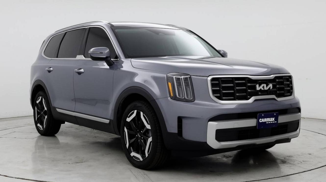 KIA TELLURIDE 2024 5XYP6DGC6RG486700 image