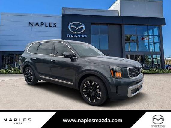 KIA TELLURIDE 2024 5XYP54GC9RG502245 image KIA TELLURIDE 2024 5XYP54GC9RG502245 image
