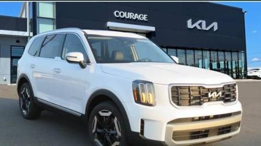 KIA TELLURIDE 2024 5XYP64GC9RG419959 image