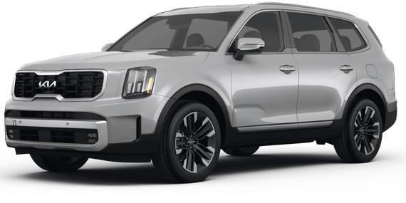KIA TELLURIDE 2024 5XYP5DGC0RG437883 image