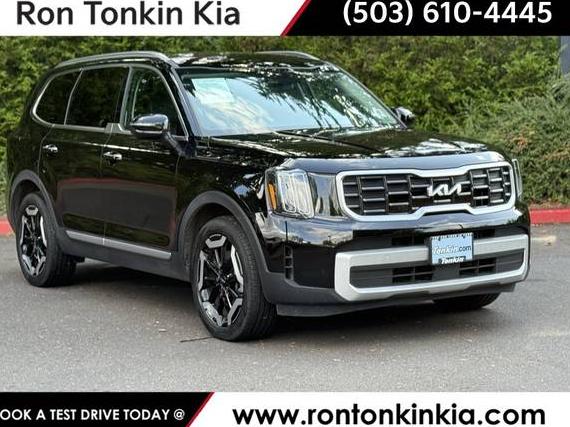 KIA TELLURIDE 2024 5XYP6DGC7RG462650 image