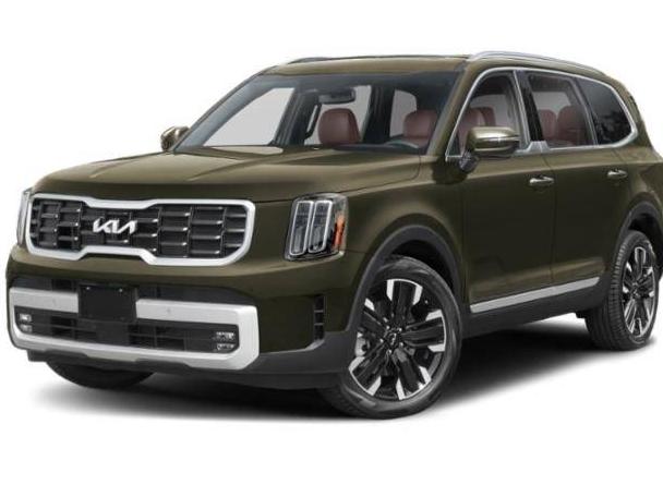 KIA TELLURIDE 2024 5XYP5DGC2RG432247 image