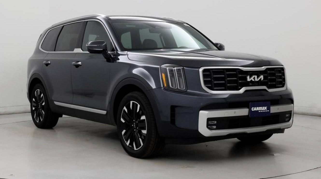 KIA TELLURIDE 2024 5XYP5DGC5RG519950 image