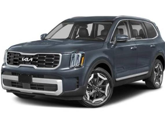 KIA TELLURIDE 2024 5XYP6DGC8RG411982 image