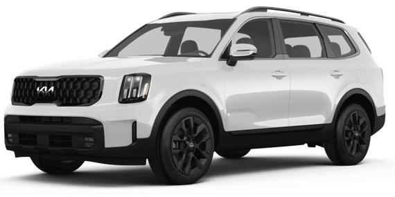KIA TELLURIDE 2024 5XYP5DGC9RG418782 image