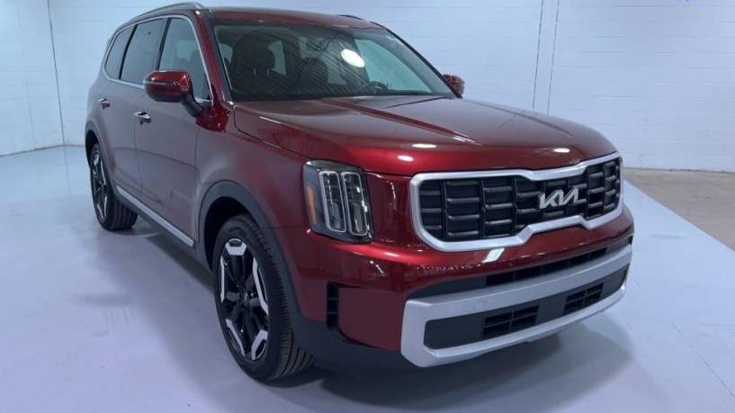 KIA TELLURIDE 2024 5XYP6DGC5RG412992 image