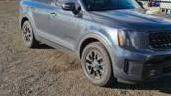 KIA TELLURIDE 2024 5XYP5DGC2RG415321 image