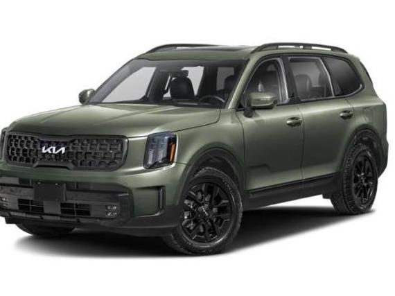 KIA TELLURIDE 2024 5XYP5DGC6RG482259 image