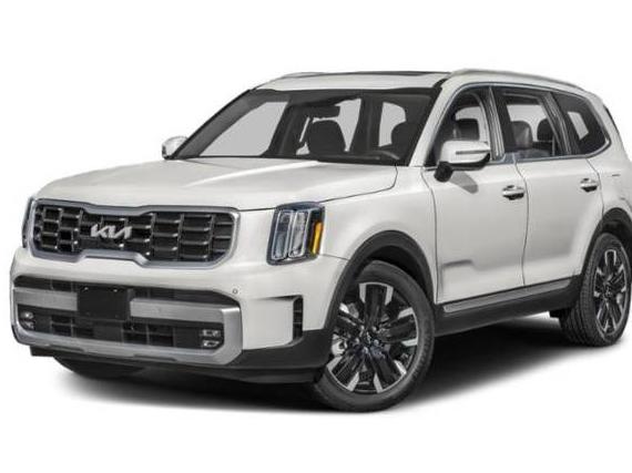 KIA TELLURIDE 2024 5XYP5DGC0RG450374 image