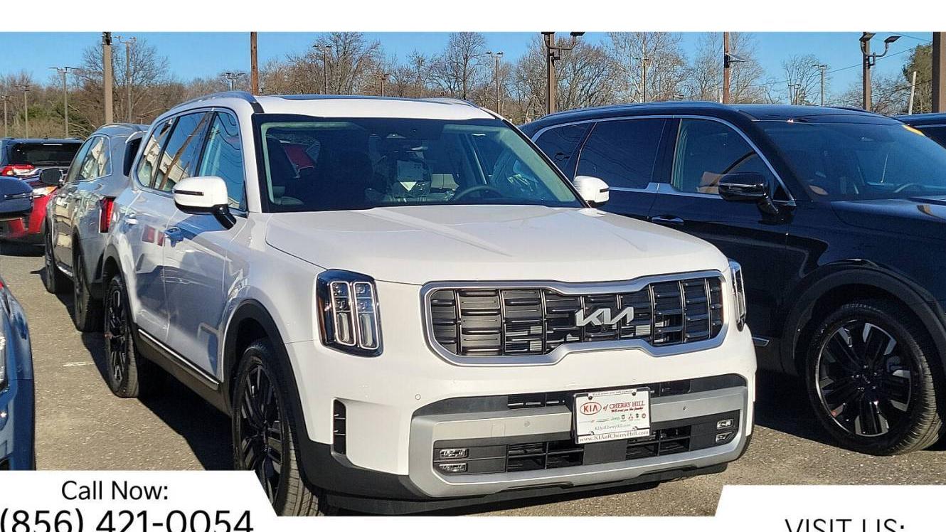 KIA TELLURIDE 2024 5XYP5DGC5RG479580 image