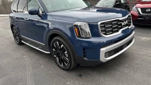 KIA TELLURIDE 2024 5XYP5DGC4RG454282 image