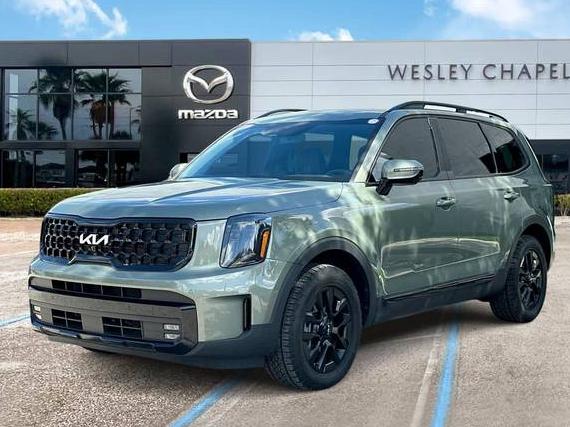 KIA TELLURIDE 2024 5XYP5DGC2RG474675 image