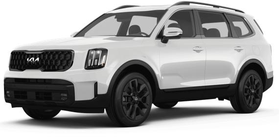 KIA TELLURIDE 2024 5XYP5DGC8RG456410 image
