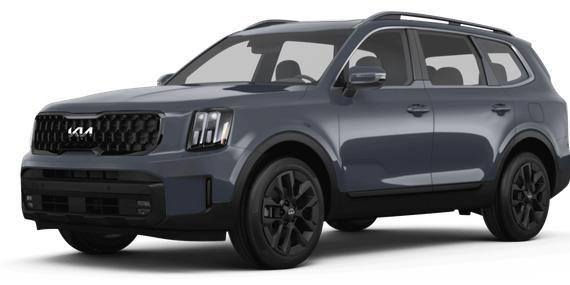 KIA TELLURIDE 2024 5XYP5DGC4RG527456 image