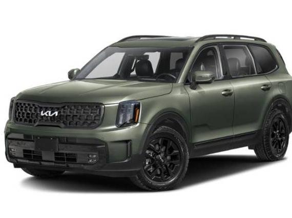 KIA TELLURIDE 2024 5XYP5DGC0RG458913 image