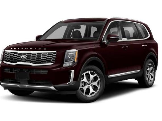 KIA TELLURIDE 2020 5XYP3DHC0LG010893 image