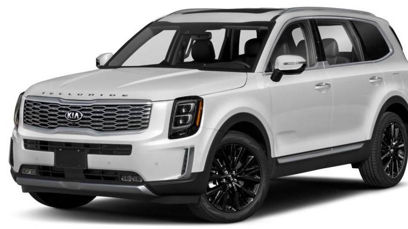 KIA TELLURIDE 2020 5XYP5DHC2LG053142 image