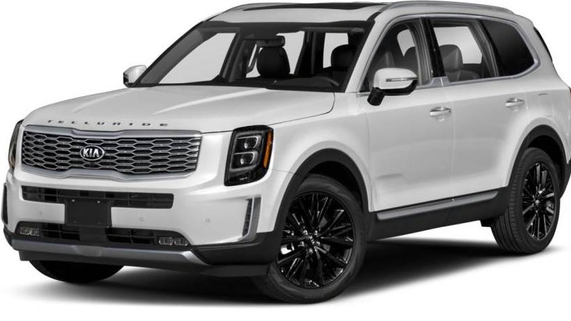 KIA TELLURIDE 2020 5XYP5DHC3LG030632 image