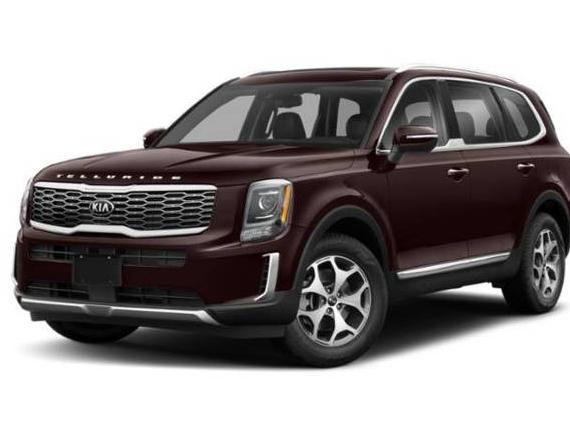 KIA TELLURIDE 2020 5XYP3DHC2LG043863 image