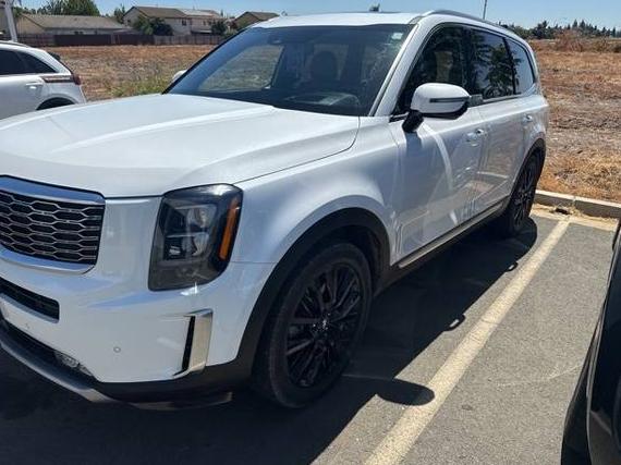 KIA TELLURIDE 2020 5XYP5DHCXLG082419 image