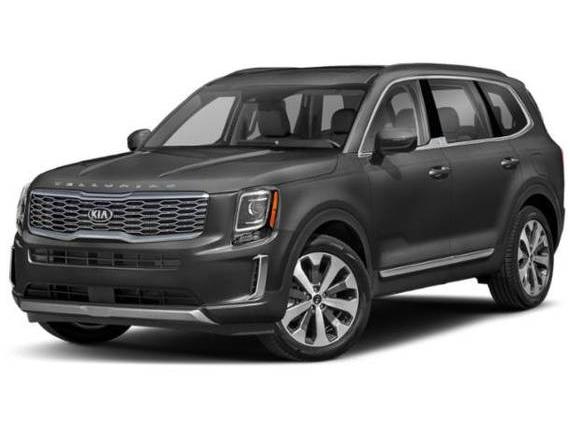 KIA TELLURIDE 2020 5XYP6DHC1LG061584 image