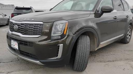 KIA TELLURIDE 2020 5XYP3DHC2LG018526 image