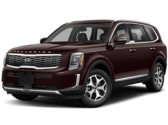 KIA TELLURIDE 2020 5XYP3DHC4LG007141 image