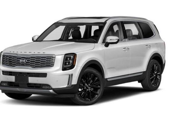KIA TELLURIDE 2020 5XYP5DHC8LG029606 image