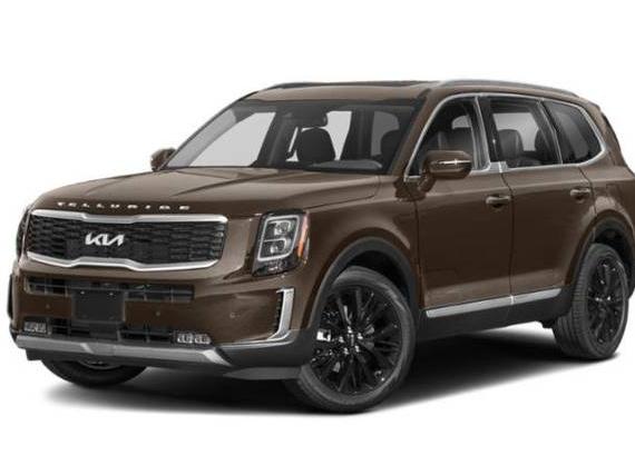 KIA TELLURIDE 2022 5XYP5DHC8NG231185 image