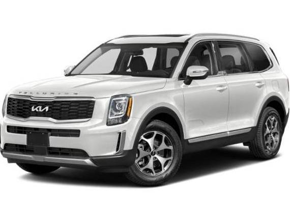 KIA TELLURIDE 2022 5XYP3DHC6NG305354 image