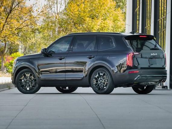 KIA TELLURIDE 2022 5XYP5DHC4NG257279 image