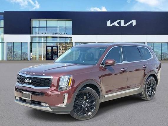 KIA TELLURIDE 2022 5XYP5DHCXNG263636 image
