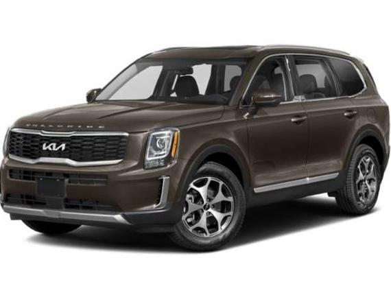 KIA TELLURIDE 2022 5XYP34HC6NG244944 image