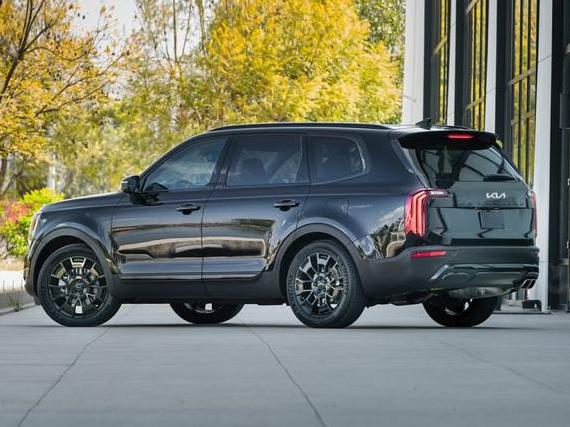 KIA TELLURIDE 2022 5XYP64HC7NG238142 image