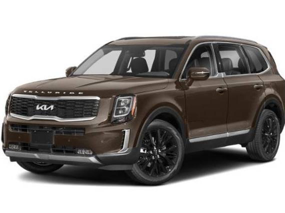 KIA TELLURIDE 2022 5XYP5DHCXNG282641 image