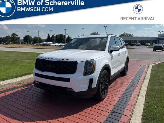 KIA TELLURIDE 2022 5XYP5DHC7NG245708 image