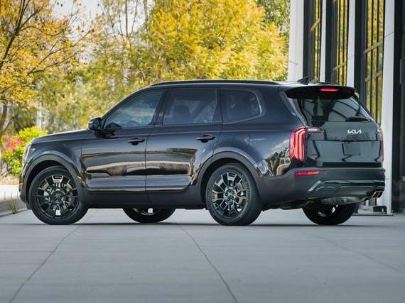 KIA TELLURIDE 2022 5XYP2DHC3NG196063 image