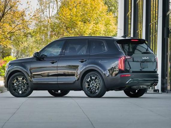 KIA TELLURIDE 2022 5XYP3DHC0NG213978 image